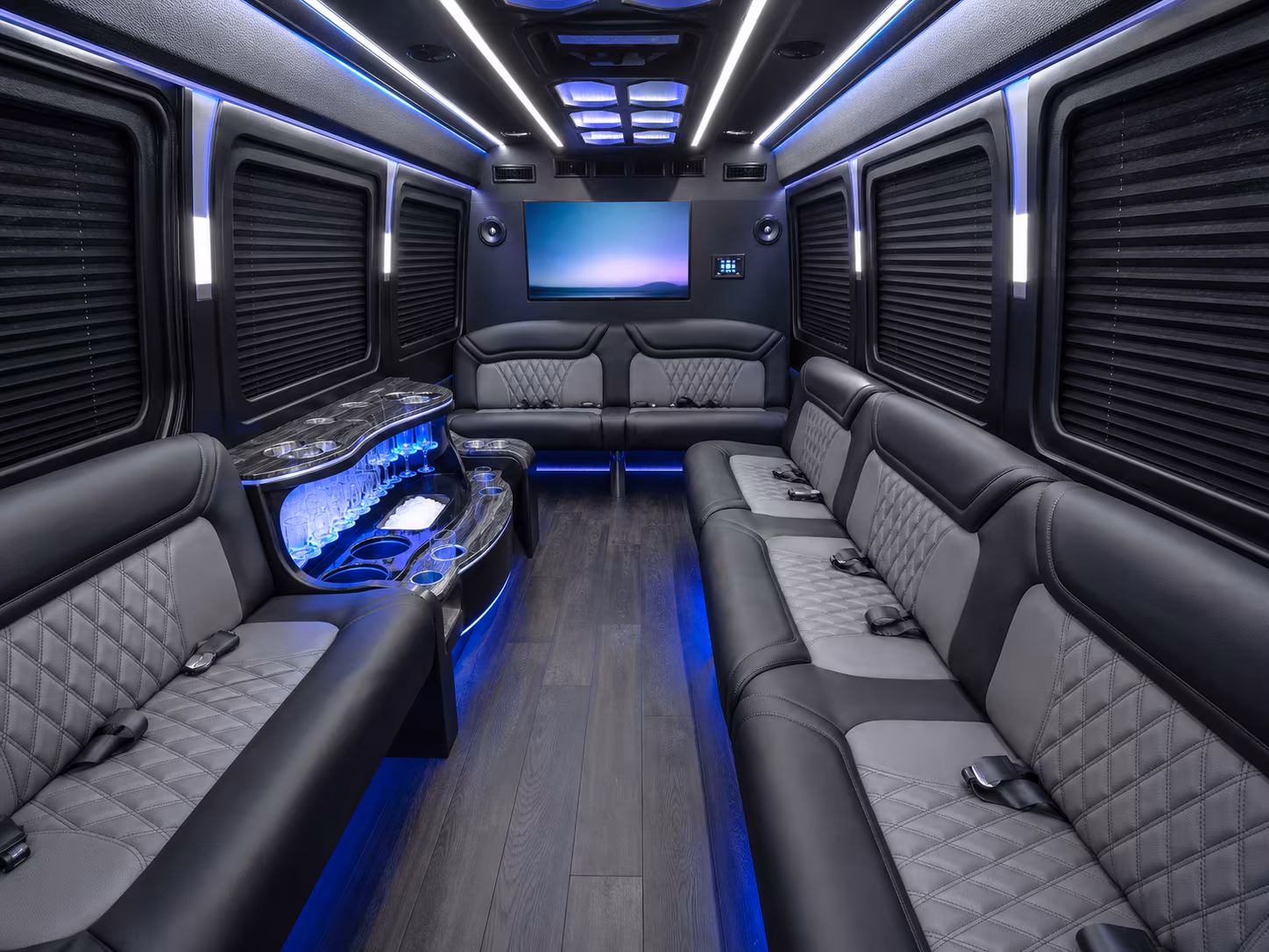 roanoke 28 passenger party bus